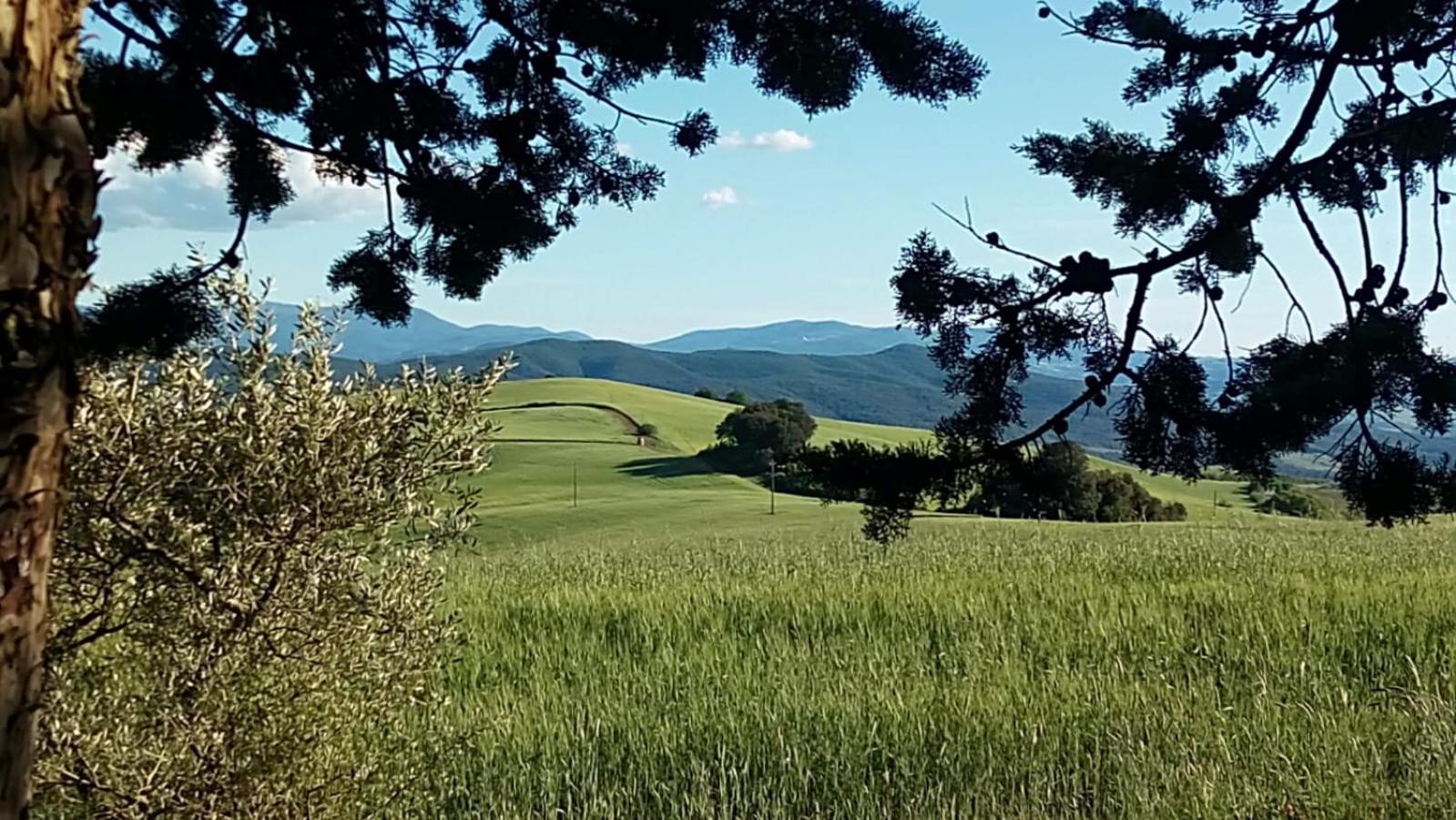 La Pecora Verde San Gimignano Luaran gambar