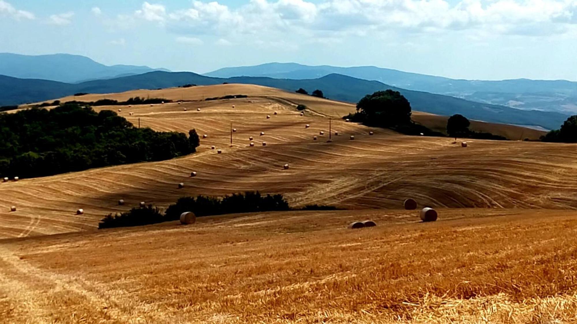 La Pecora Verde San Gimignano Luaran gambar